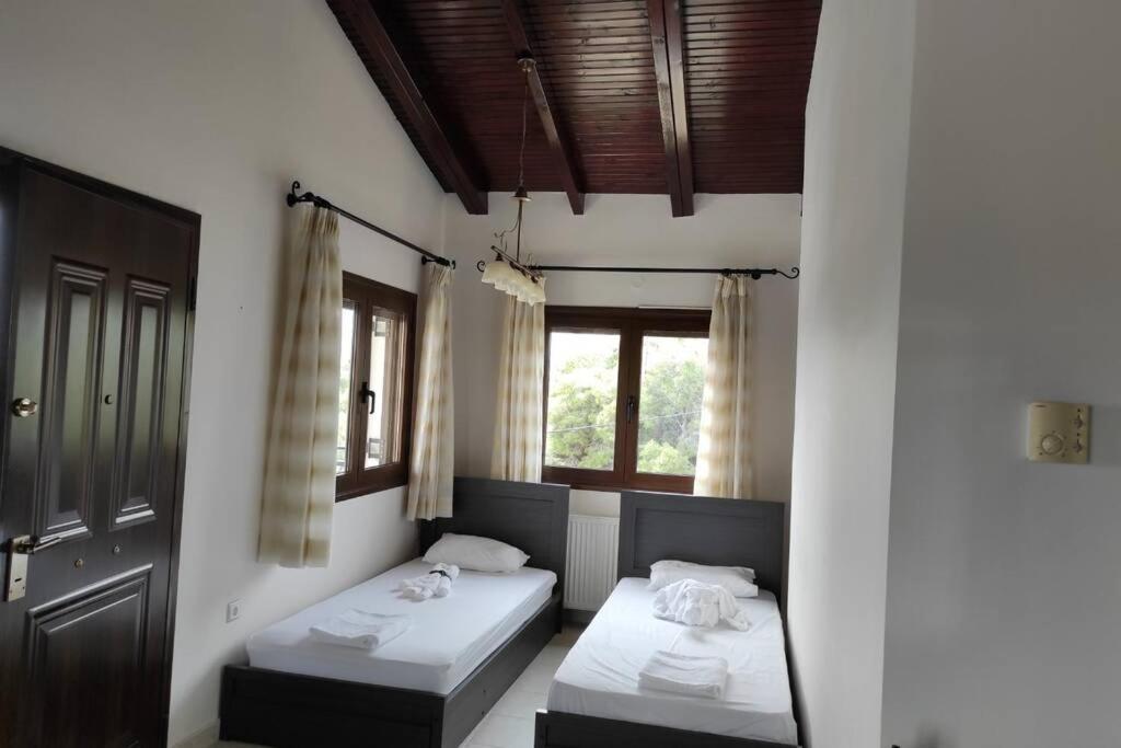 فيلا Artemis Penthouse 10 Minute From National Airport المظهر الخارجي الصورة