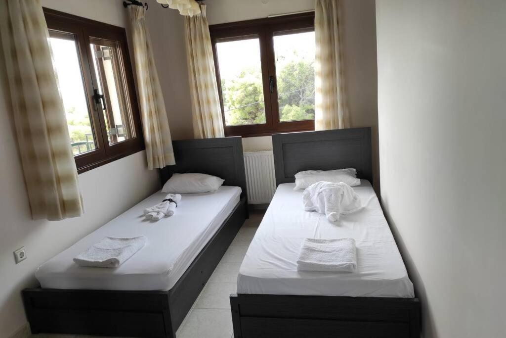 فيلا Artemis Penthouse 10 Minute From National Airport المظهر الخارجي الصورة