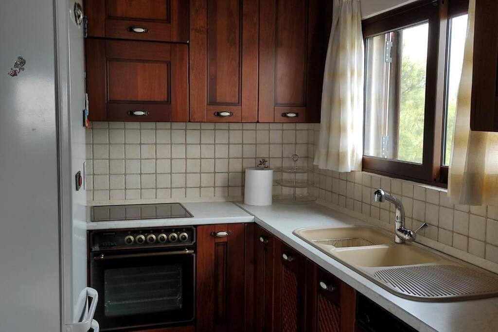 فيلا Artemis Penthouse 10 Minute From National Airport المظهر الخارجي الصورة