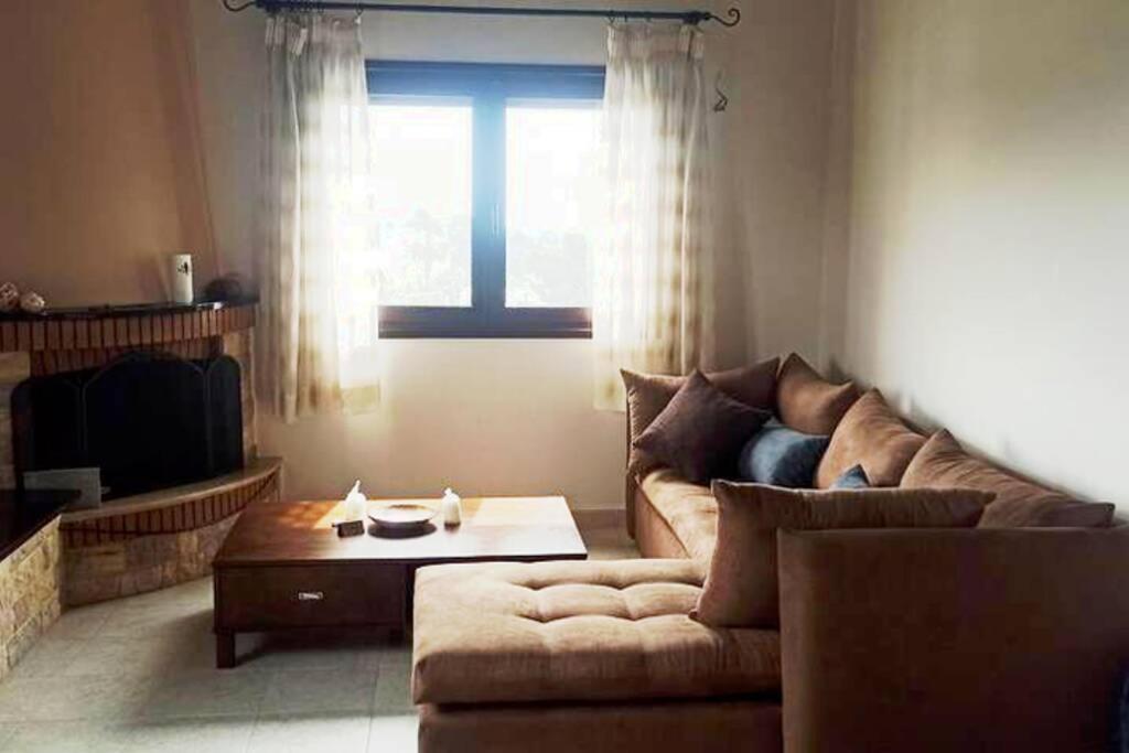 فيلا Artemis Penthouse 10 Minute From National Airport المظهر الخارجي الصورة